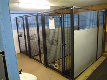 Medium Kennels